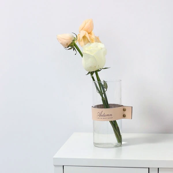Simple Transparent Glass Vase